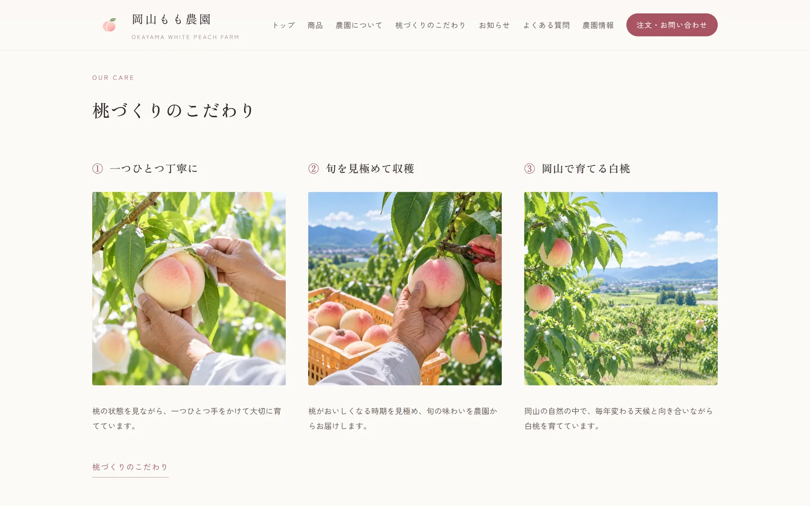 桃づくりのこだわりページ。3つのポイントを写真とともに紹介